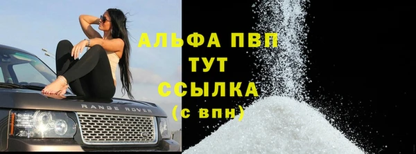 спиды Богородицк