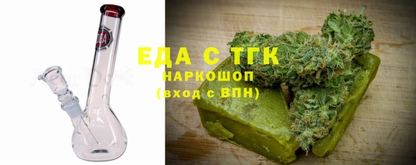 спиды Богородицк