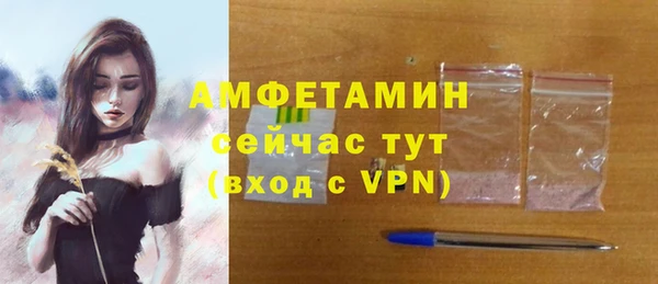спиды Богородицк