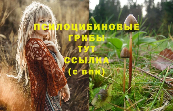 спиды Богородицк