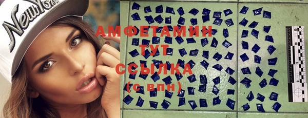 спиды Богородицк
