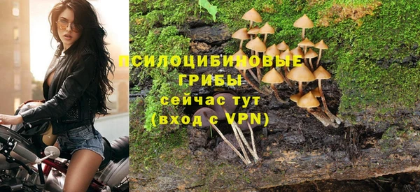 крисы Бронницы