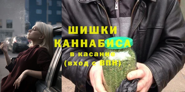 спиды Богородицк