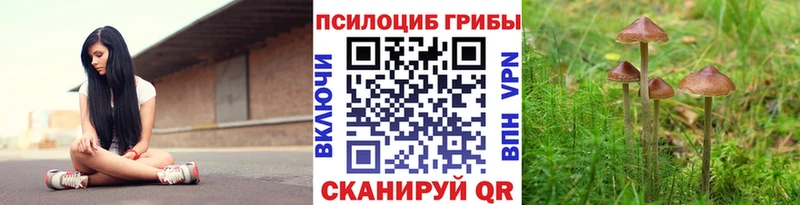 Галлюциногенные грибы MAGIC MUSHROOMS  blacksprut зеркало  Улан-Удэ 