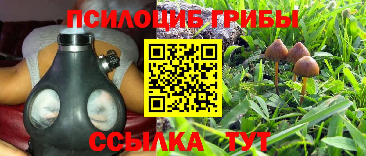 Псилоцибиновые грибы GOLDEN TEACHER Улан-Удэ